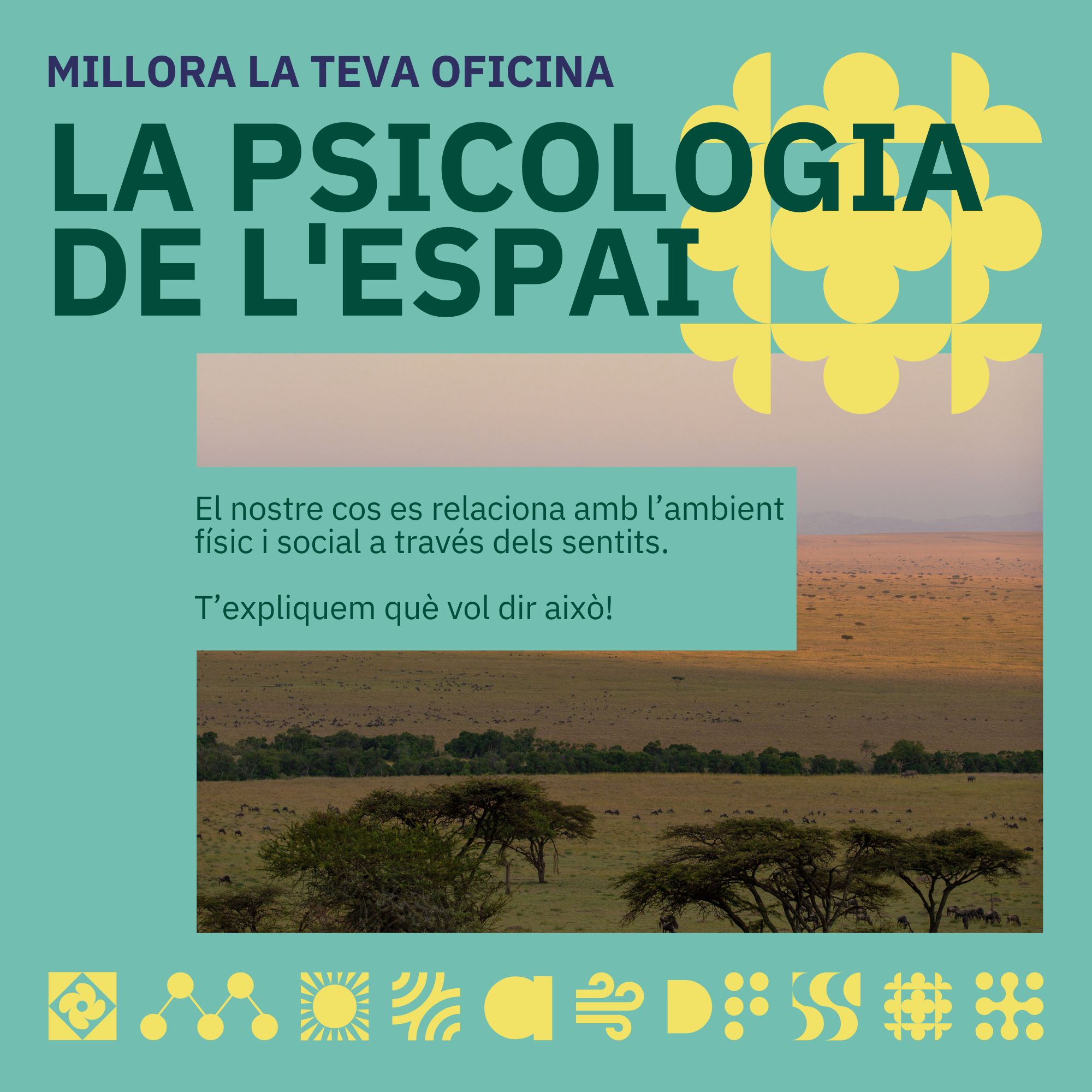MILLORA LA TEVA OFICINA: PSICOLOGIA DE L'ESPAI...